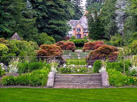 Trees in a Formal Garden